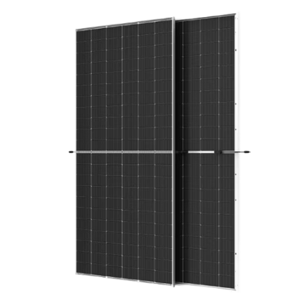 Imagen de NEG19RC.20610W